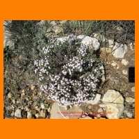 DSCN0809.JPG