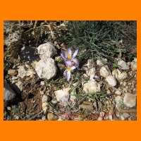 DSCN0810.JPG