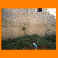 DSCN0828.JPG