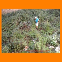 DSCN0829.JPG