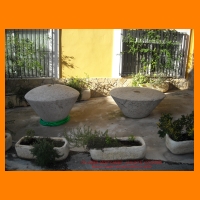 DSCN0850.JPG