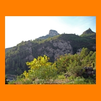 DSCN0852.JPG