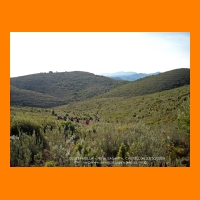 DSCN0858.JPG
