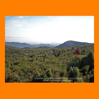 DSCN0860.JPG