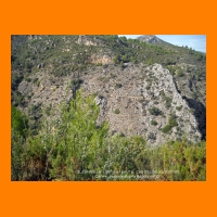 DSCN0887.JPG