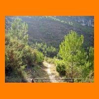 DSCN0889.JPG