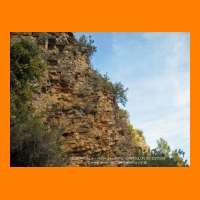 DSCN0890.JPG