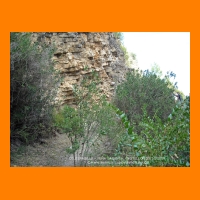 DSCN0891.JPG