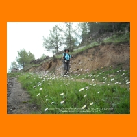 DSCN0895.JPG