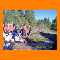 PIC_0061_edited.JPG