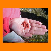 PIC_0062_edited.JPG