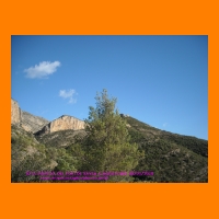 DSCN0058.jpg