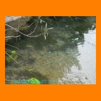 DSCN0022.jpg