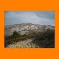 DSCN0021.jpg