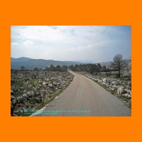 DSCN0030_edited.jpg