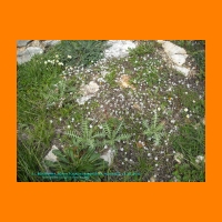 DSCN0041.jpg