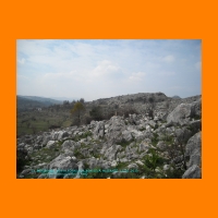 DSCN0056.jpg