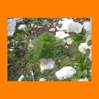 DSCN0057.jpg