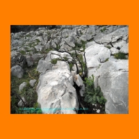 DSCN0058_edited.jpg