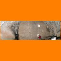 pano8.jpg