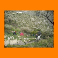 DSCN0010.jpg