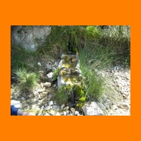 DSCN0042.jpg