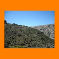 DSCN0047.jpg