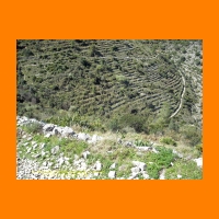 DSCN0049_edited.jpg