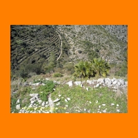 DSCN0052_edited.jpg