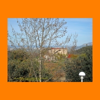 DSCN0099_edited.jpg