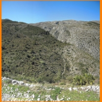 PANO12.jpg