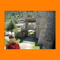 DSCN0050_edited.jpg