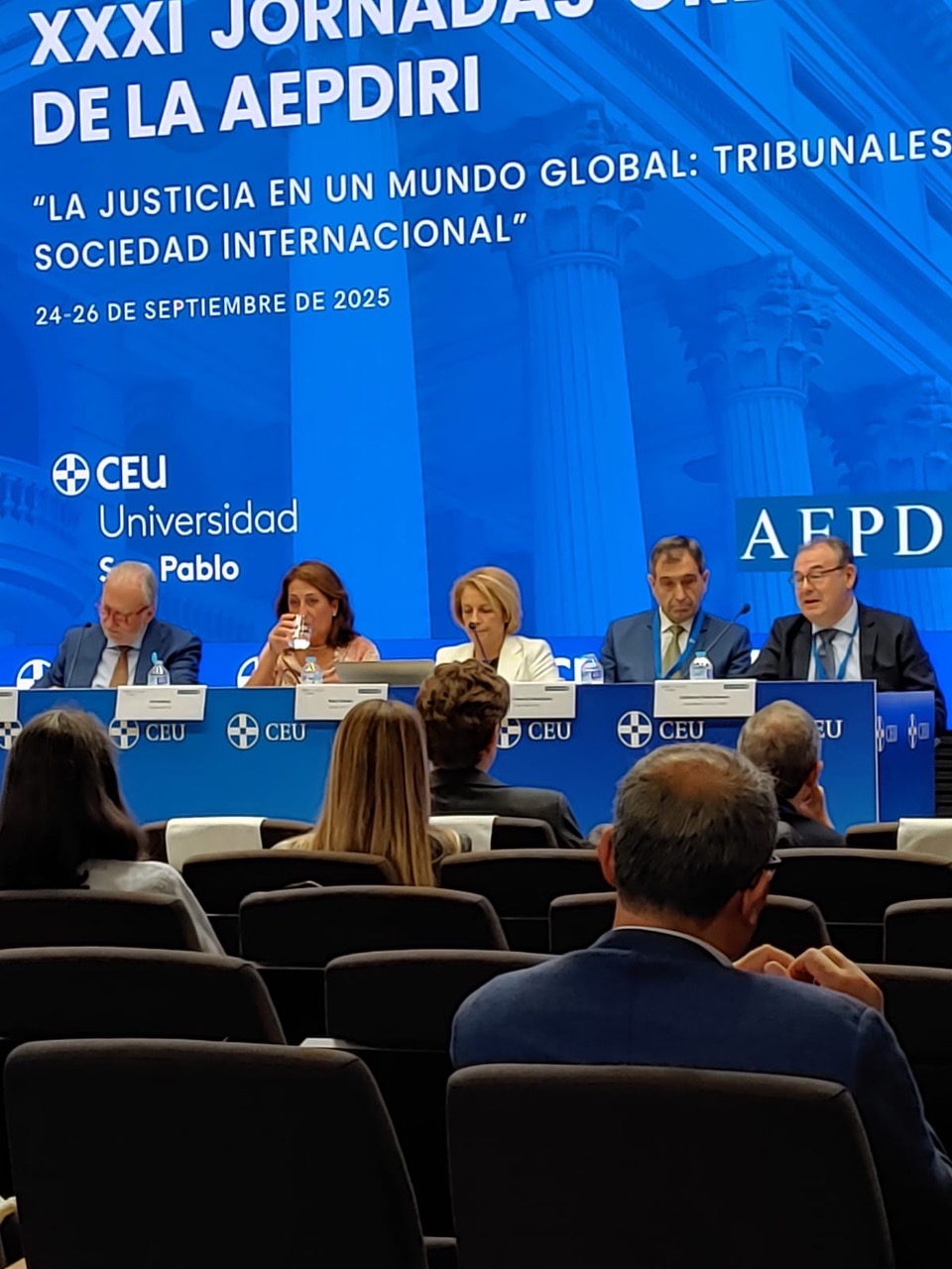 XXXI Jornadas y Asamblea General de la AEPDIRI