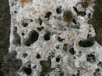 Lapiaz tubular