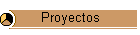 Proyectos