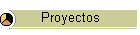 Proyectos