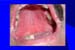 Diapositiva15