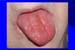 Diapositiva5