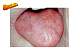 Diapositiva4.JPG