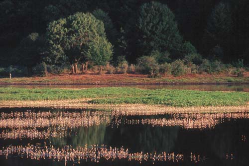 Lago Biviere