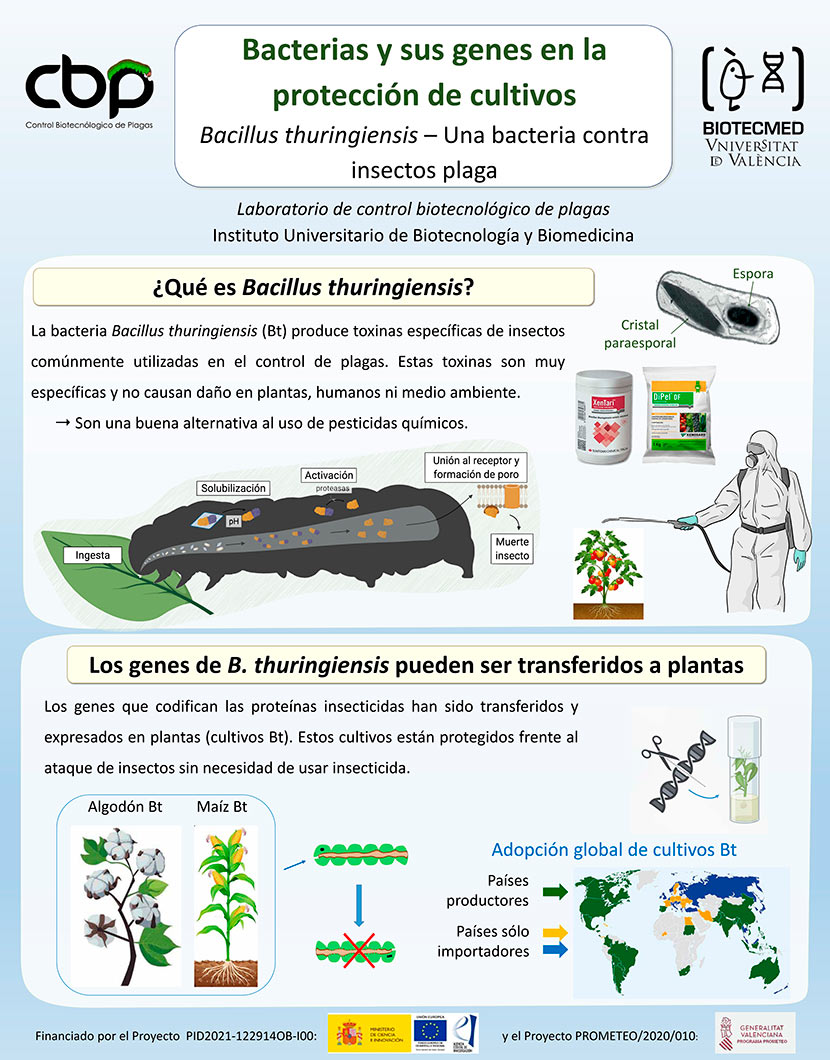 Poster MOABT Expociència 2024