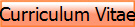 Curriculum Vitae