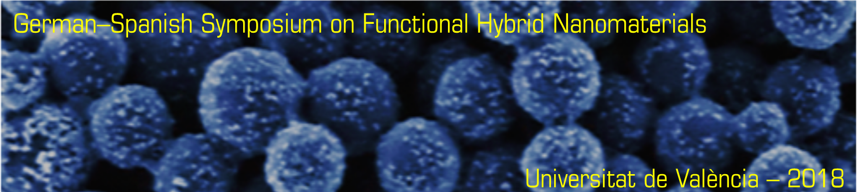 German-Spanish Symposium on Functional Hybrid Nanomaterials