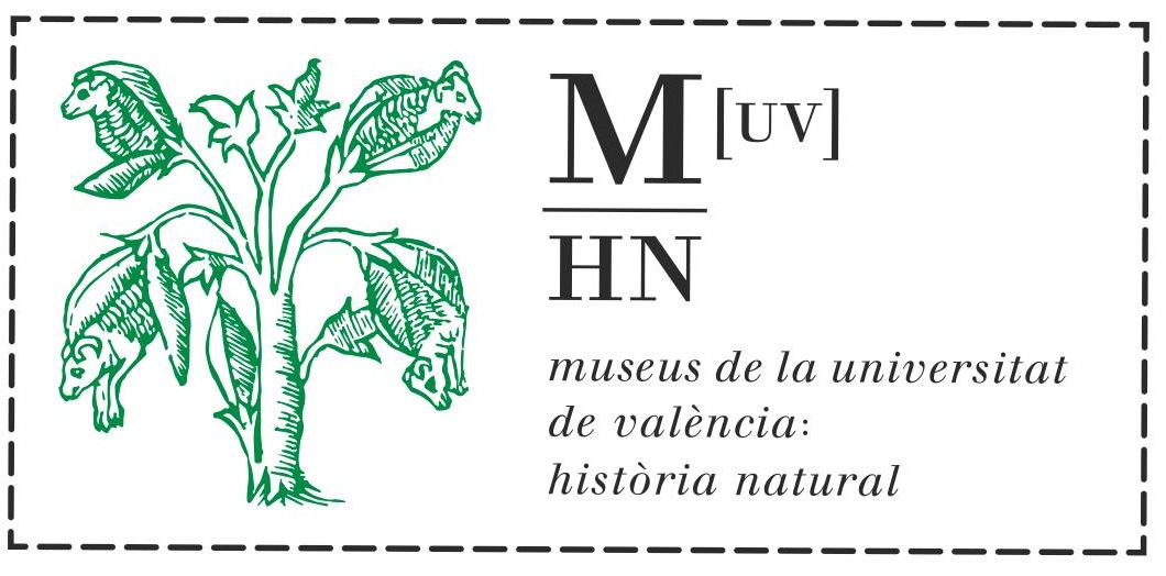www.uv.es/museuhn