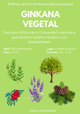 Taller Ecosferas