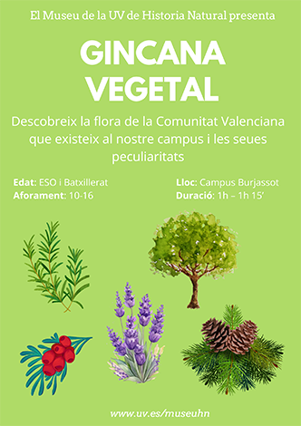 Taller Ginkana vegetal