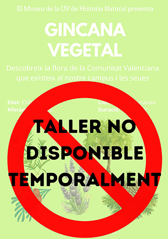 Taller Ginkana vegetal
