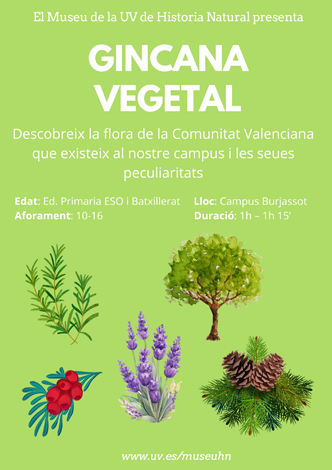 Taller Ginkana vegetal