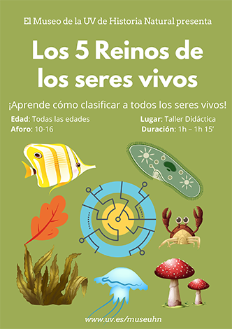 Taller 5 Reinos de los Seres Vivos