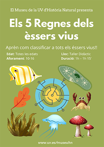 Taller Els 5 regnes dels Éssers Vius